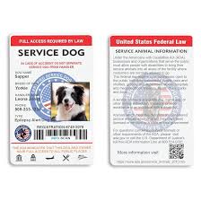 Service Animals - ADA.gov - usa service dog registration