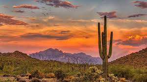 Best United States Tours & Vacation Packages Tours | 4496 Reviews - usa tour packages