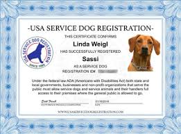 Is Usa Service Dog Registration Legit | All Pets Adviser - usa service dog registration
