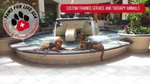 Home - Paws for Life USA - usa service dogs