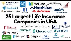 TOP 50 Largest US & Canada Insurance companies in 2025 - usa big company