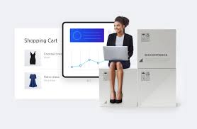 All | BigCommerce - dropshipping services with storefront free usa