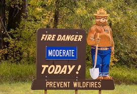 U.S. Forest Service - Encyclopedia Britannica - forest service usa