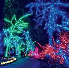 The 35 Best Christmas Lights Displays in the U.S. - Country Living - biggest cities in the usa for christmas light intstal