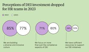 The state of DEI in 2024: Key takeaways and insights - curret status of dei for companies in usa