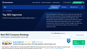 Top 30 SEO Agencies - Jun 2025 Rankings - DesignRush - seo agency usa
