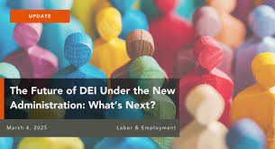 The Future of DEI Under the New Administration: What's Next? - curret status of dei for companies in usa