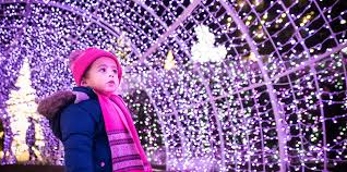 11 Best Places to See Holiday Lights in the U.S. 2021 - biggest cities in the usa for christmas light intstal