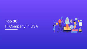 Top 30 IT Companies in the USA 2025: Revenue & Market Cap - biggest companies in usa