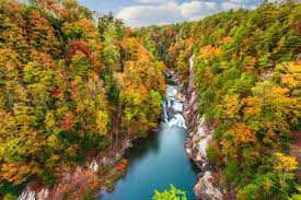 18 Most Beautiful Places to Visit in Georgia - Global Grasshopper - beautiful places to visit in usa
