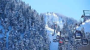 23 Amazing Places To Visit In USA For Christmas (2025) - Go Far Grow Close - biggest cities in the usa for christmas light intstal