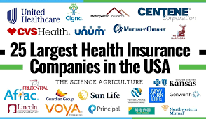 Best health insurance companies of 2025 - top 10 insurance companies in usa