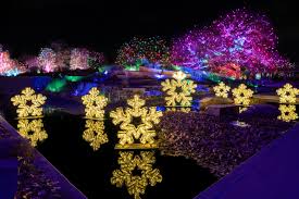 The 28 Best Christmas Light Displays + Tours - MSN - biggest cities in the usa for christmas light intstal