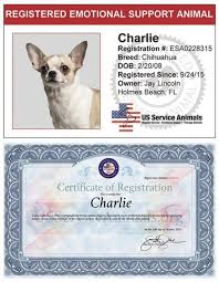 Service Dog Registration | Emotional Support Animal Registration - usa service dog registration