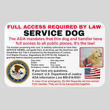 United States Service Dogs: Laws, Rights, and Access Guide - Nahf - usa service dogs