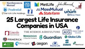 25 Largest Life Insurance Companies in 2025 - top 10 insurance companies in usa