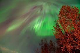 How to Watch the Northern Lights for a Second Time in November 2024 - northern lights usa 2024