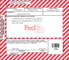PDF - fedex company in usa