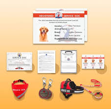 Usa Official Service Animal Site Online - usa service dog registration