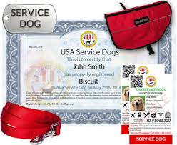 Is Service Dog Registration Legit In The USA - usa service dog registration