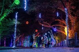 The 23 Best Christmas Light Displays in the U.S. - SmarterTravel - biggest cities in the usa for christmas light intstal