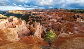 USA Tours & USA Vacation Packages - Tauck - usa tour packages