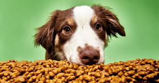 12 Best Dog Foods Actually Made in the USA - Top Dog Tips - made from usa