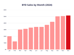 BYD Sales by Model and Country Statistics (Feb 2025) - Tridens - byd auto usa