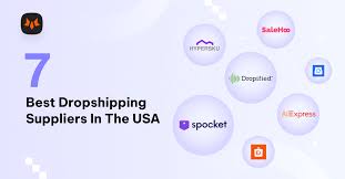 Top10 Dropshipping Suppliers in the United States - dropshipping suppliers usa
