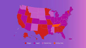 US Gambling Laws by State - 2025 Legal Guide - USA Legal Betting - sports betting legal in usa
