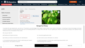 Britannica - Poplar Species Overview