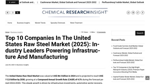 Top 10 Companies in the United States Raw Steel Market (2025): Industry ... - steel companies in usa