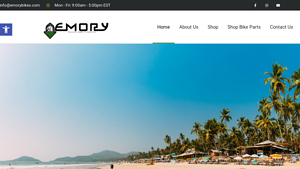 Emory Bicycles - American Made Cruiser Bikes - bikes made in usa