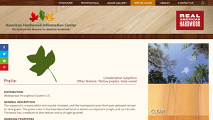 Hardwood Info - Poplar Overview