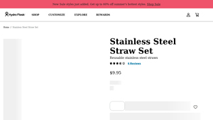 Stainless Steel Straw Set - Hydro Flask - stainless straws made in usa