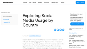 Exploring Social Media Usage by Country - MixBloom - social media usage by platform