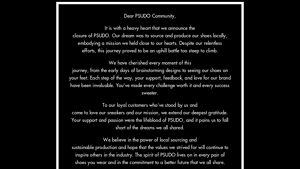 Psudo Sneakers made in USA - gym shoes made in usa