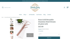Rose Gold Reusable Stainless Steel Straws (6-piece set) - stainless straws made in usa
