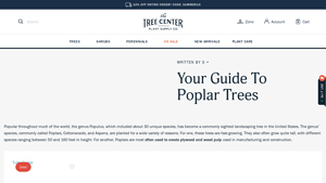 The Tree Center - Complete Guide to Poplar Trees